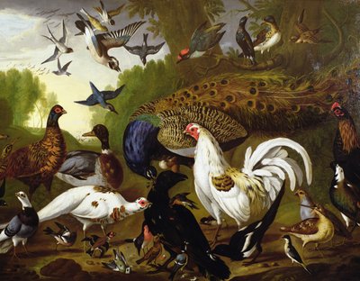 The Fable of the Raven with a Peacock, Cockerel, Woodpecker, Jay, Woodcock, and Magpie by Pieter Casteels